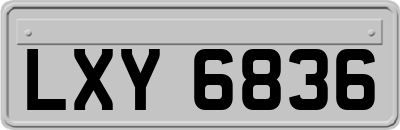 LXY6836