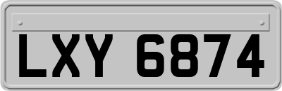 LXY6874