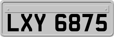 LXY6875