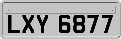 LXY6877