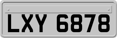 LXY6878