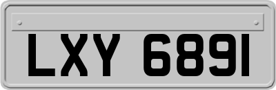 LXY6891