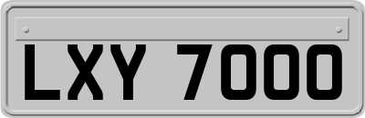LXY7000
