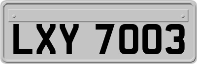 LXY7003