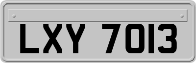 LXY7013