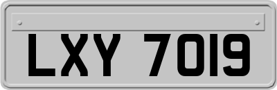 LXY7019