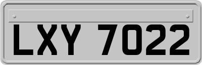 LXY7022