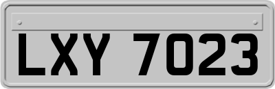 LXY7023