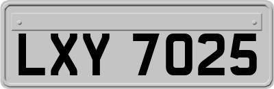 LXY7025