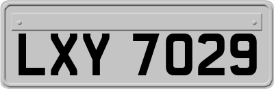 LXY7029
