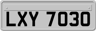 LXY7030