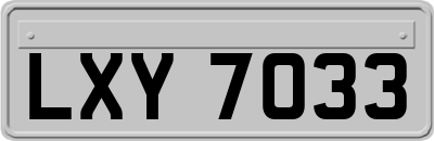 LXY7033