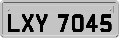 LXY7045