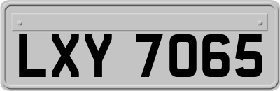 LXY7065
