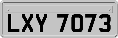 LXY7073