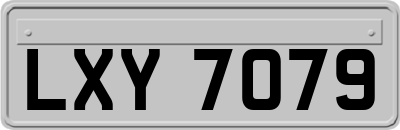 LXY7079
