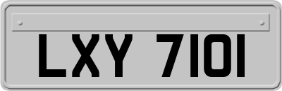 LXY7101