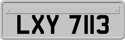 LXY7113