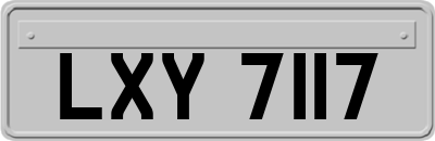 LXY7117