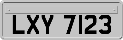 LXY7123
