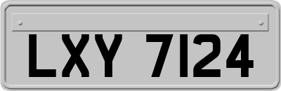 LXY7124