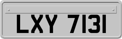 LXY7131