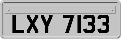 LXY7133