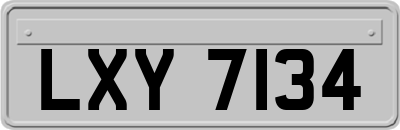 LXY7134