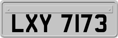 LXY7173