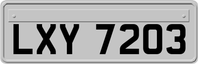 LXY7203
