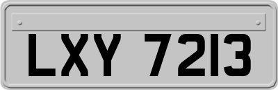 LXY7213