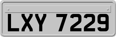 LXY7229