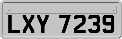 LXY7239
