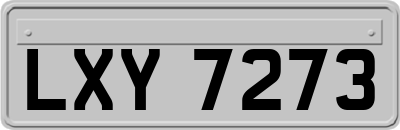 LXY7273