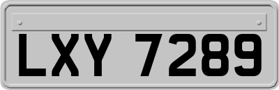 LXY7289