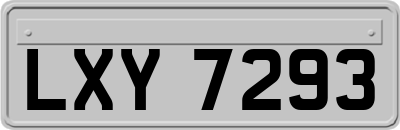 LXY7293