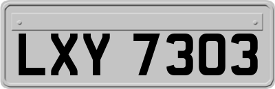LXY7303