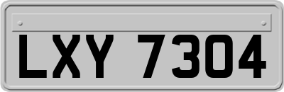 LXY7304