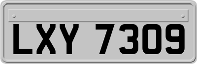 LXY7309