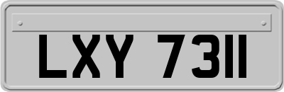 LXY7311