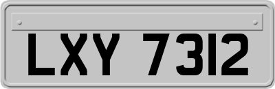 LXY7312