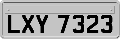 LXY7323