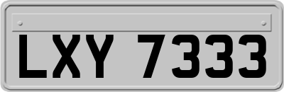LXY7333