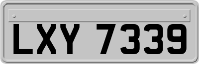 LXY7339