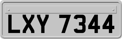 LXY7344