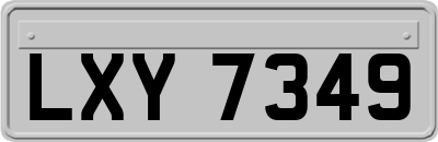 LXY7349