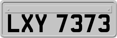 LXY7373