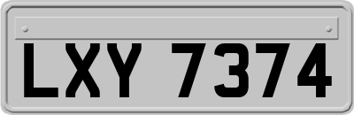 LXY7374