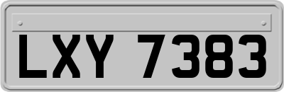 LXY7383