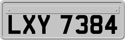 LXY7384